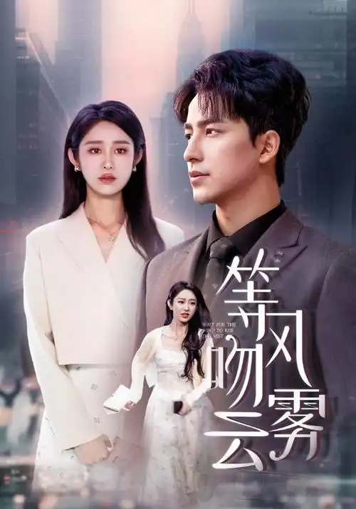 长夜将明 电视剧海报